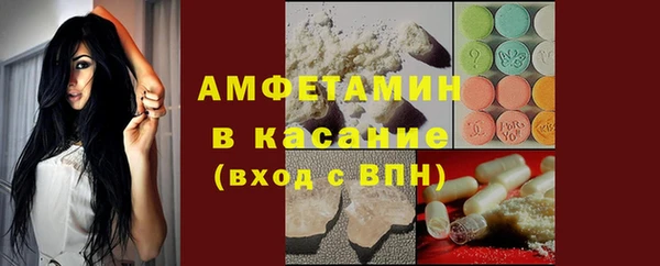 шишки Гусиноозёрск