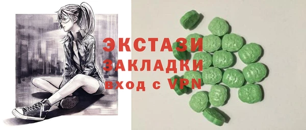 шишки Гусиноозёрск