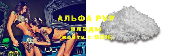 СК Гусев