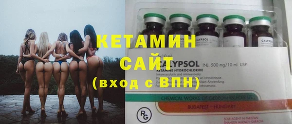 шишки Гусиноозёрск