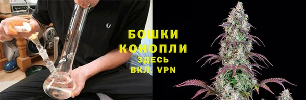 шишки Гусиноозёрск