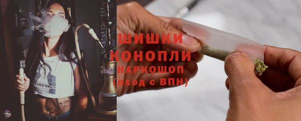 прущие грибы Горно-Алтайск