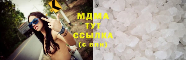 шишки Гусиноозёрск