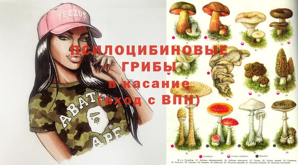 СК Гусев
