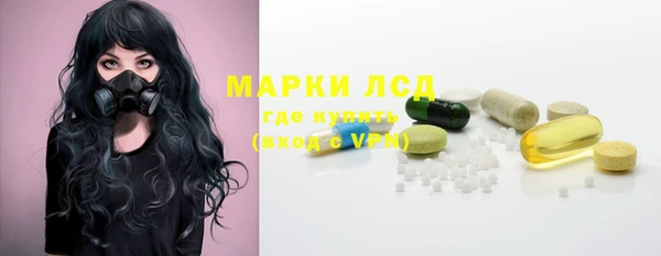 шишки Гусиноозёрск
