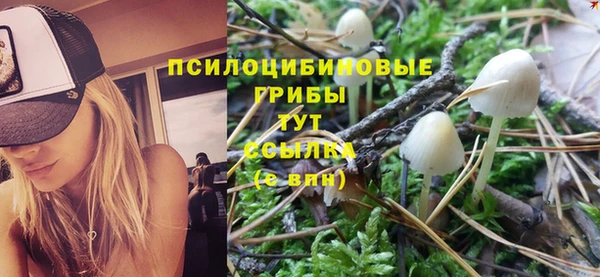 MDMA Горняк