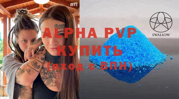 прущие грибы Корсаков