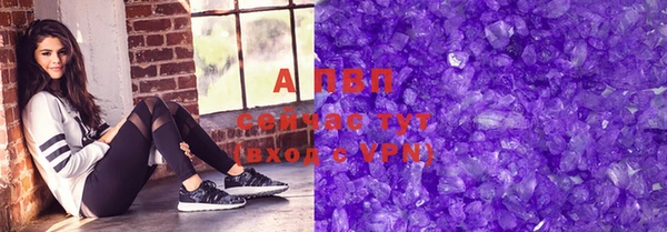 прущие грибы Горно-Алтайск