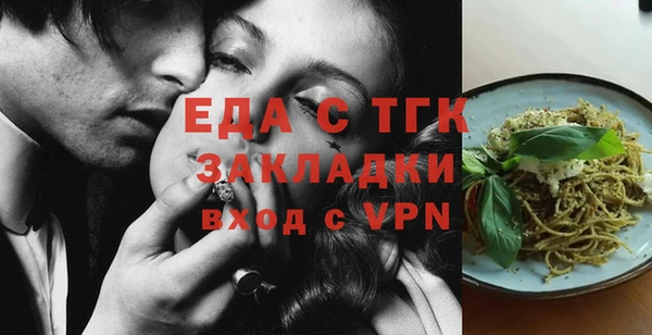 шишки Гусиноозёрск