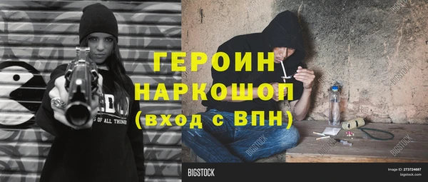 шишки Гусиноозёрск
