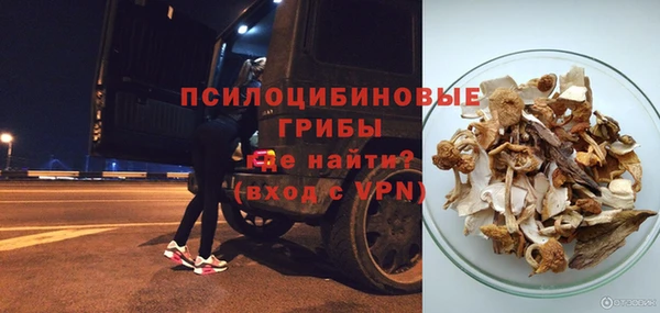 шишки Гусиноозёрск