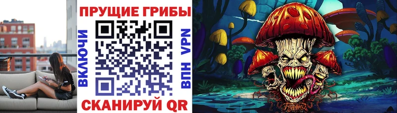 Псилоцибиновые грибы MAGIC MUSHROOMS  это клад  Дагестанские Огни 